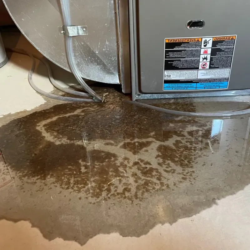 Pipe Burst and Leak Restoration in Schiller Park, IL