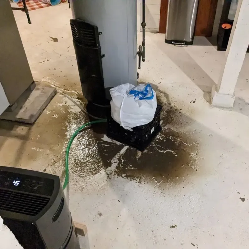 Sewage Backup Cleanup Service in Schiller Park, IL